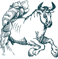 Taurus Horoscope